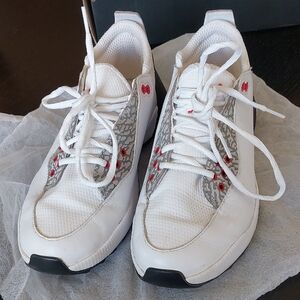 Jordan ADG2. White and Gray with Red Accents